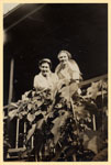 Nurses Betty Stone and Margaret Hawkins at Tannachy Hospital, Rockhampton ca.1940